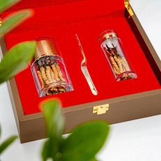 Con Đông Trùng Hạ Thảo NaKhuc Tây Tạng hàng tự nhiên Con Đông Trùng Hạ Thảo NaKhuc Tây Tạng hàng tự nhiên